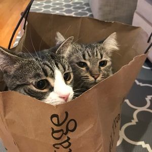 Meet your Posher, Cindy